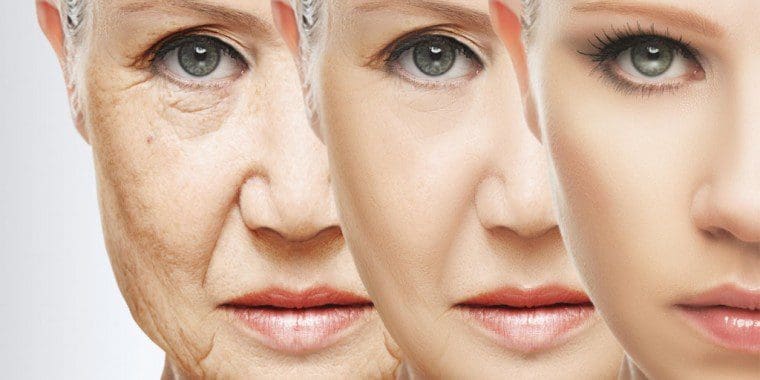 Ageing Educogym