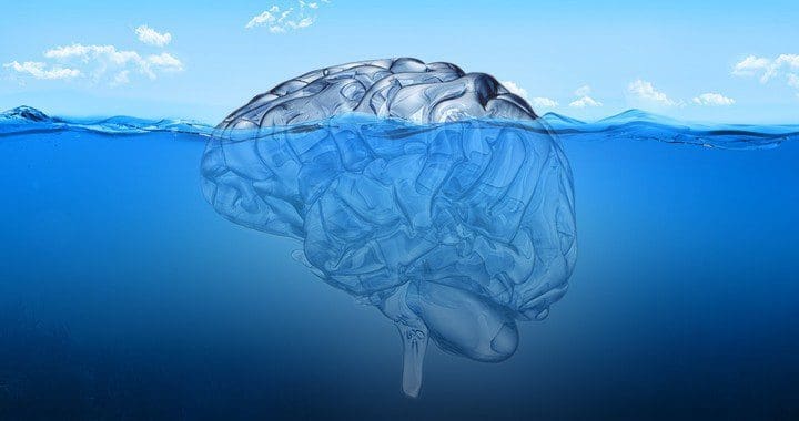 Brain in the sea